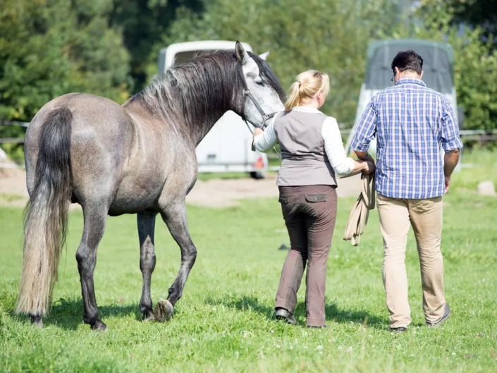 Inken und Campo